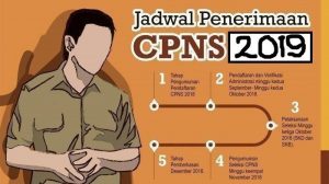 Pendaftaran CPNS 2019 Dibuka 11 November